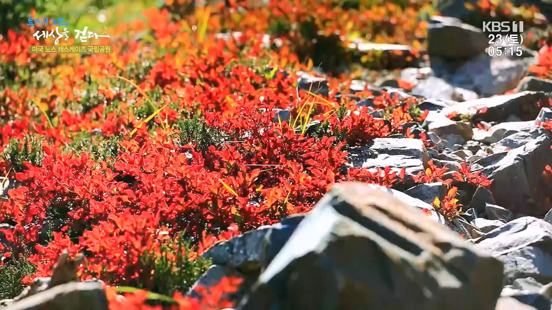 트레킹노트 세상을 걷다.E300.231223p.H264-F1RST.mp4_20240626_204659.408.jpg