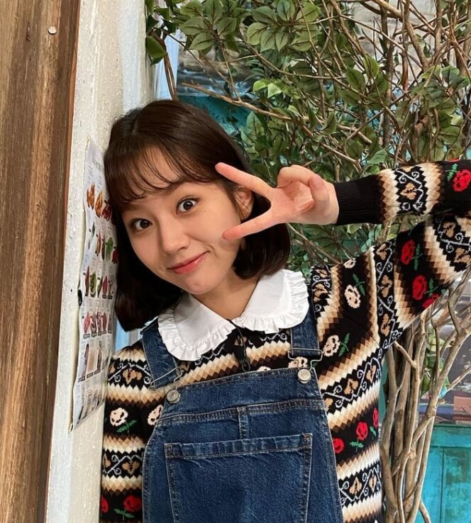  배우 혜리 프로필, 본명, 나이, 키, 학력, 고향, 소속사