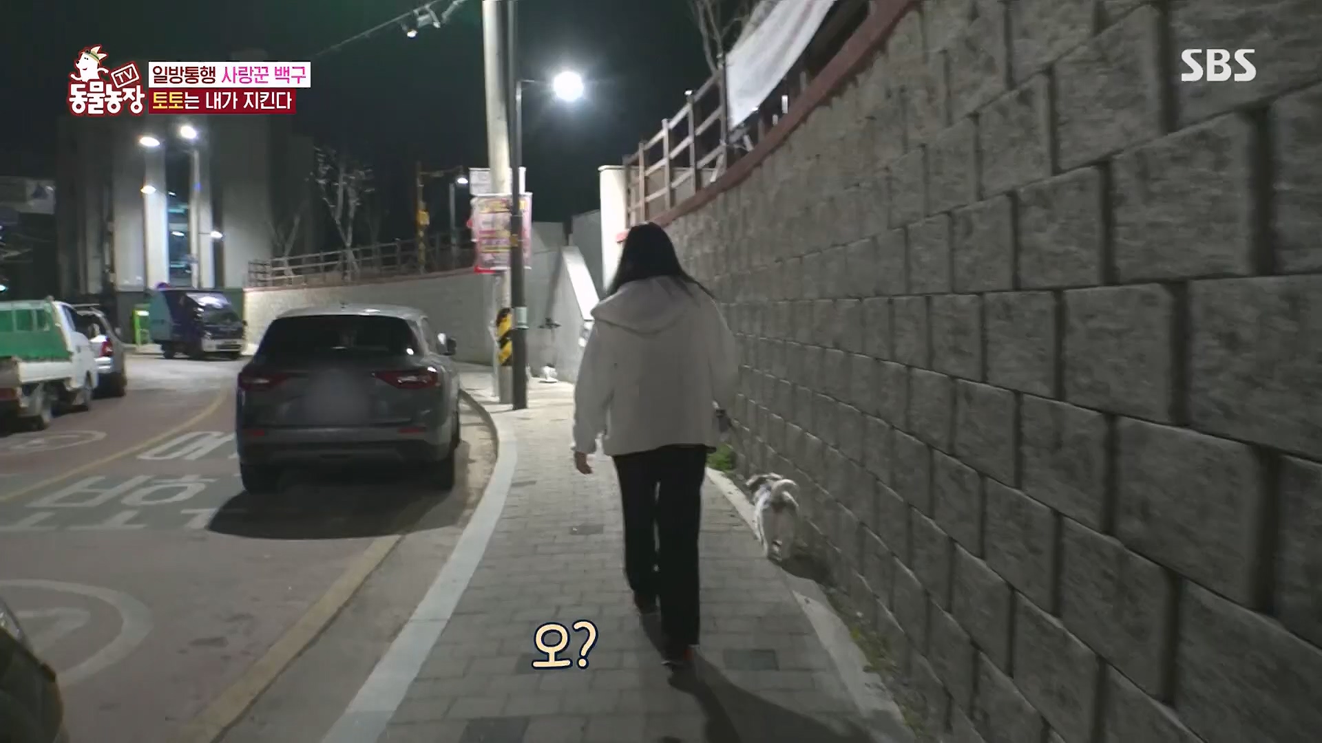 TV 동물농장.E1118.230430p.H264-F1RST.mp4_20230430_172335.826.jpg