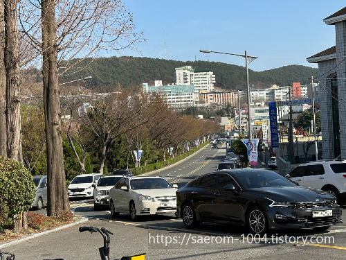 유엔기념공원 주차장2