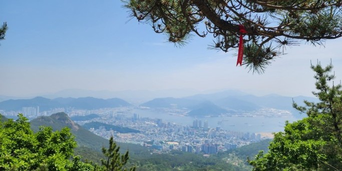 무학산에서 내려다 본 풍경
