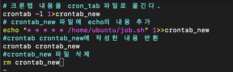  [메타코딩] cron 주기적 실행