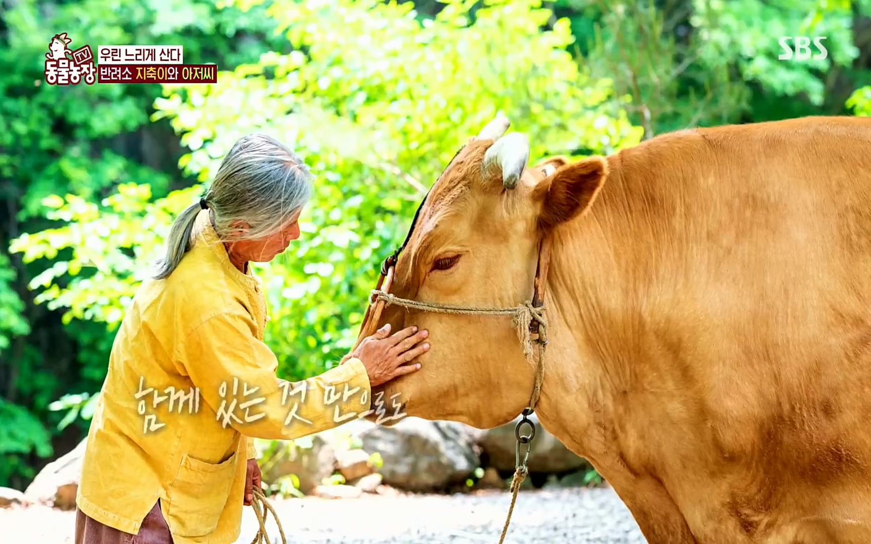TV 동물농장.E1074.220619p.H264-F1RST.mp4_20220619_182118.174.jpg