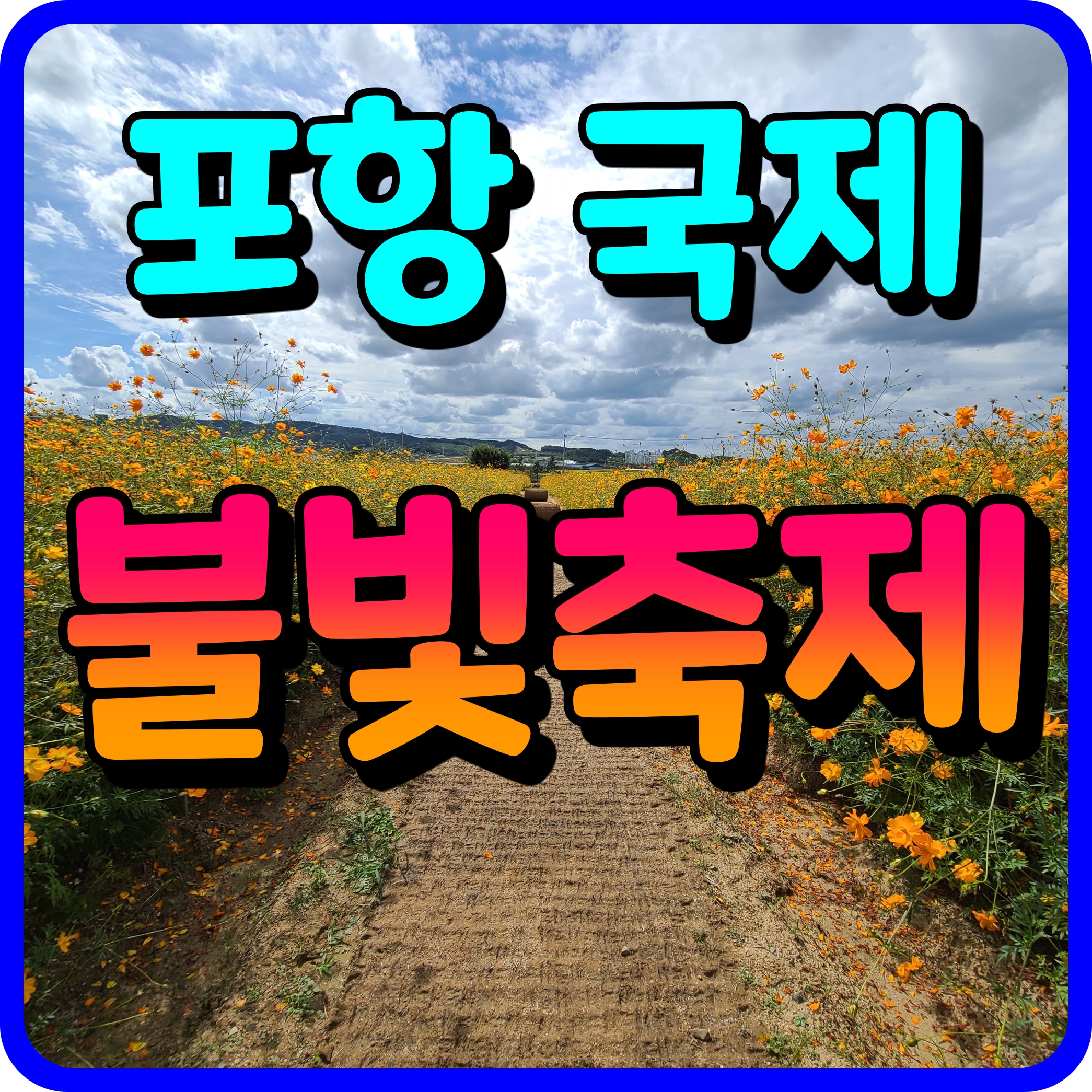  포항 국제 불빛축제 불꽃축제 블랙이글스 에어쇼까지 구경 해볼까