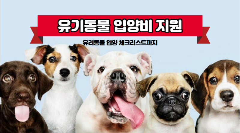  반려동물 입양 체크리스트 유기동물 입양비 지원