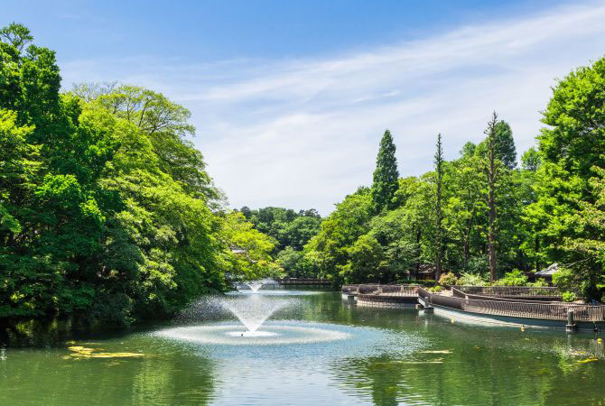 도쿄-이노카시라-공원