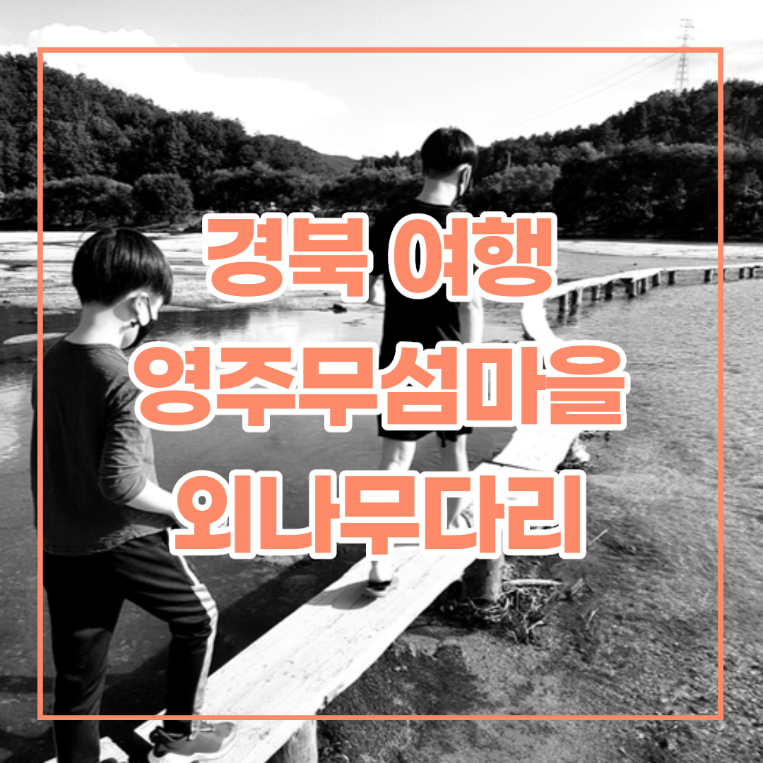  경북 아이와 가볼만한 곳, 영주 무섬마을 외나무다리