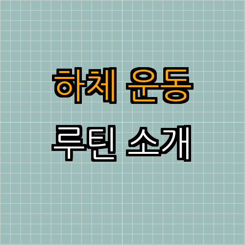 3. 효과적인 하체 운동 루틴