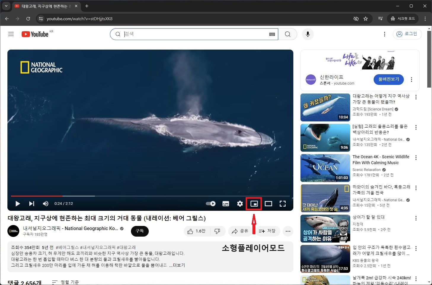 유튜브 실행화면