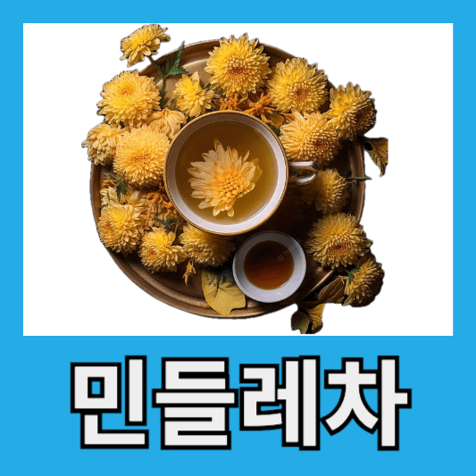 진짜 민들레 효능 부작용 알아보기 민들레차 먹는 법