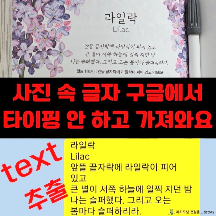 사진 속 글자 구글에서 타치핑 안 하고 가져와요