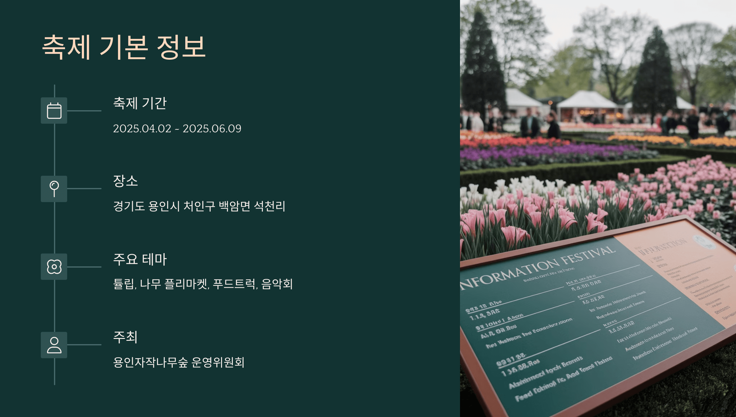 축제 정보