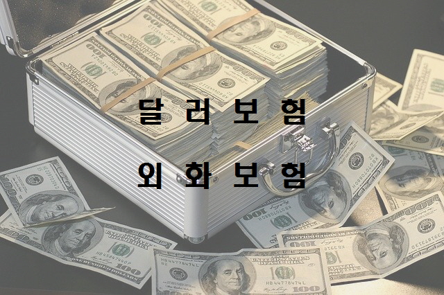  노다지네 잡학다식