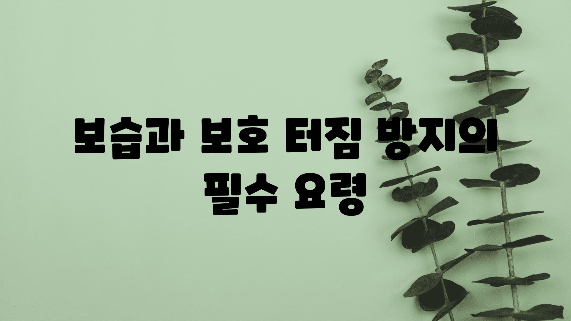 보습과 보호| 터짐 방지의 필수 요령