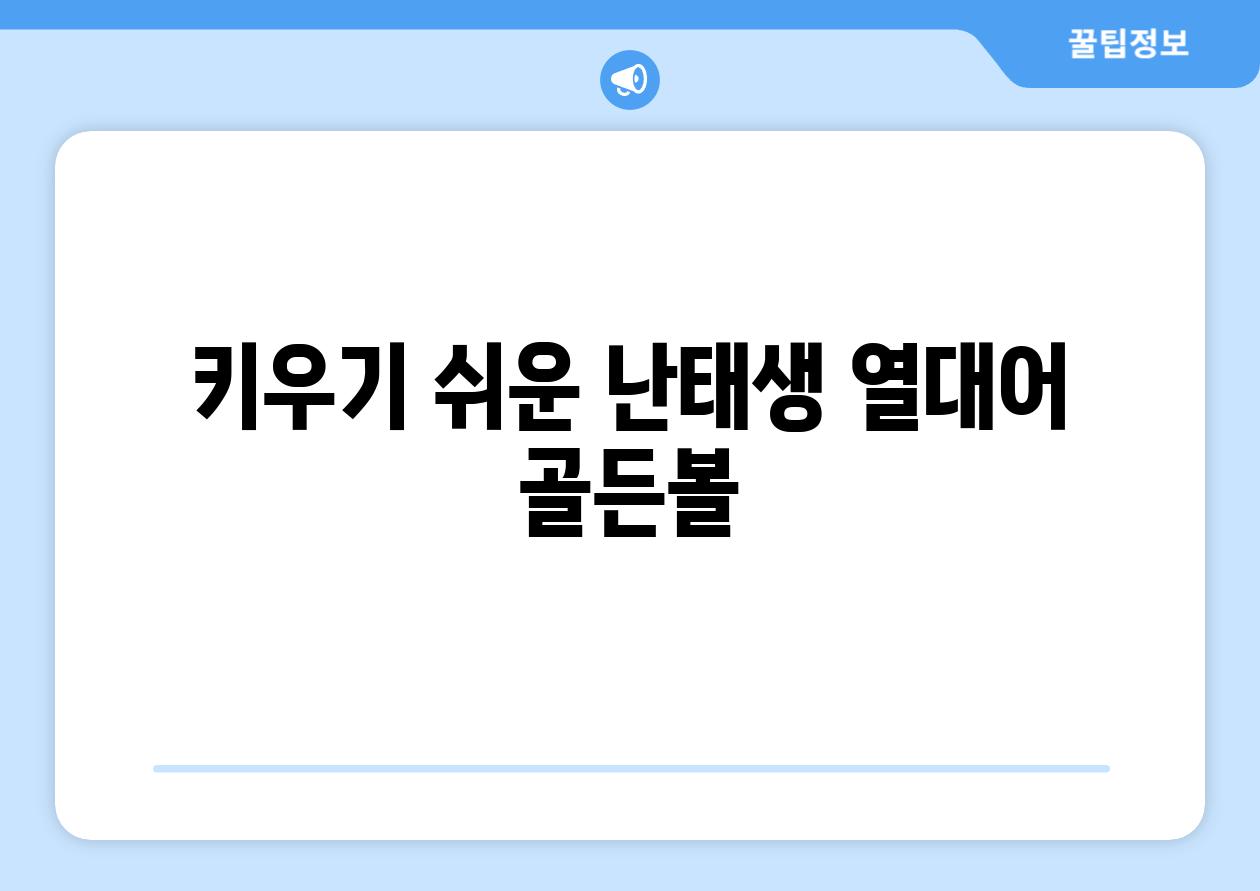 키우기 쉬운 난태생 열대어, 골든볼