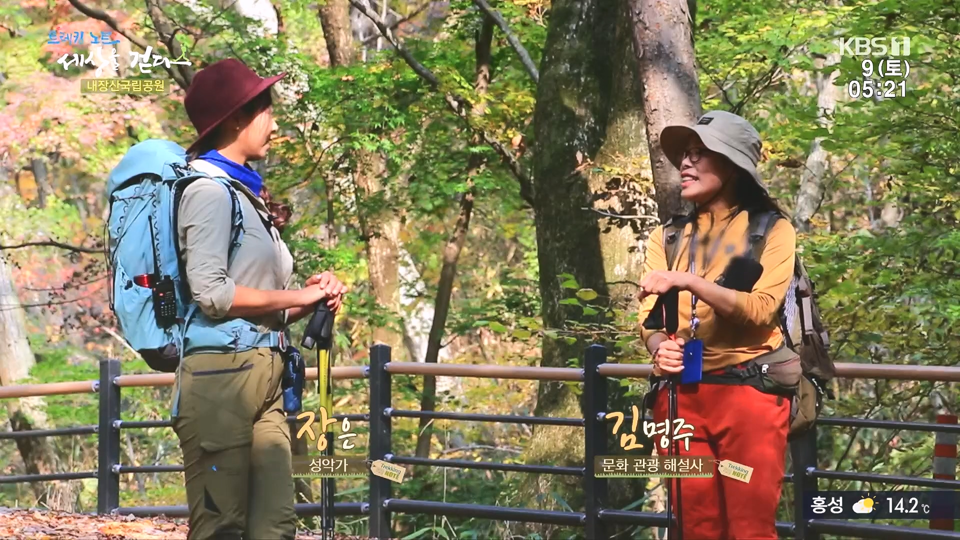 트레킹노트 세상을 걷다.E298.231209p.H264-F1RST.mp4_20240105_205420.706.jpg