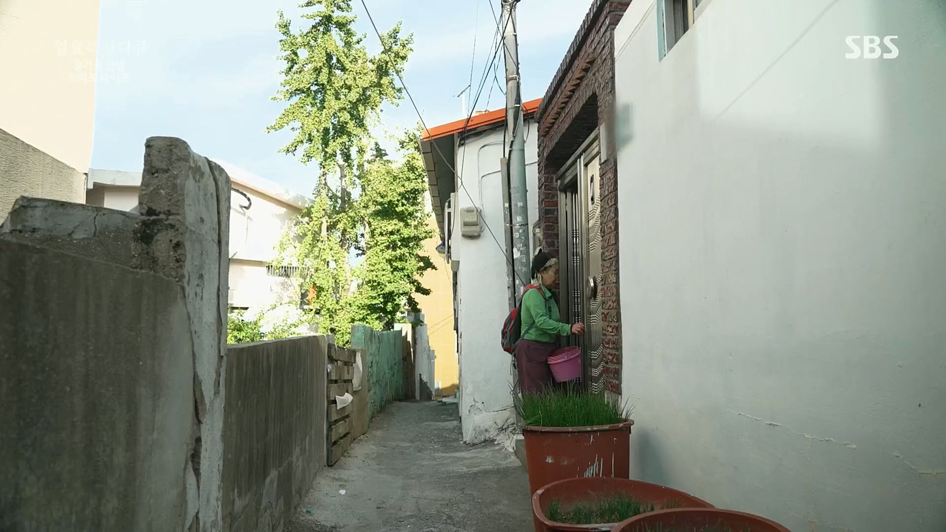 일요 특선 다큐멘터리.E292.221016p.H264-F1RST.mp4_20221018_183602.977.jpg