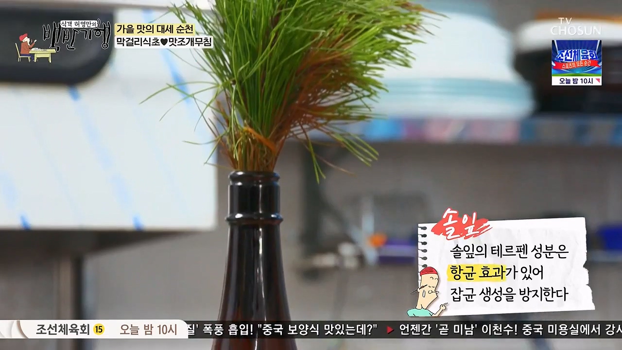 식객 허영만의 백반기행.E216.230916p-NEXT.mp4_20230916_164658.636.jpg