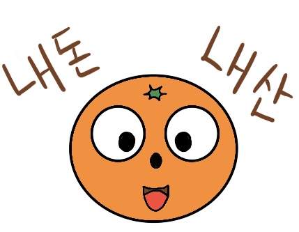 김감귤의 내돈내산