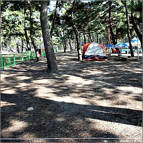 태안 몽산포해변펜션 (Taean Mongsanpo Beach Pension)_5
