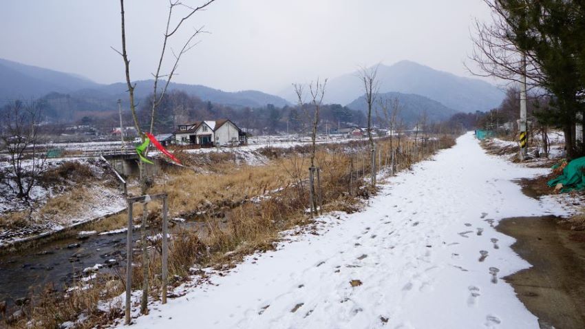 가운데 개울을 두고 좌 우로 곧게 뻗은 둑방길, 둑방길에 앃인 하얀 눈, 나뭇가지에 매어진 둘레길 삘긴 리본, 우측 길가에 잡목, 개울 건너편 들판에 집한채, 뒤로 야산, 흐린 하늘,