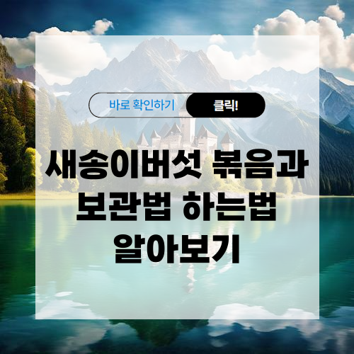 새송이버섯 볶음과 보관법 하는법 알아보기