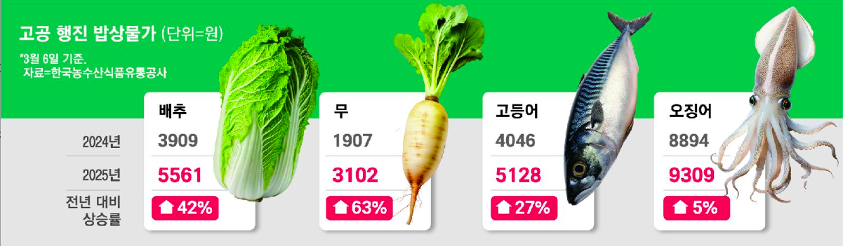 물가대책