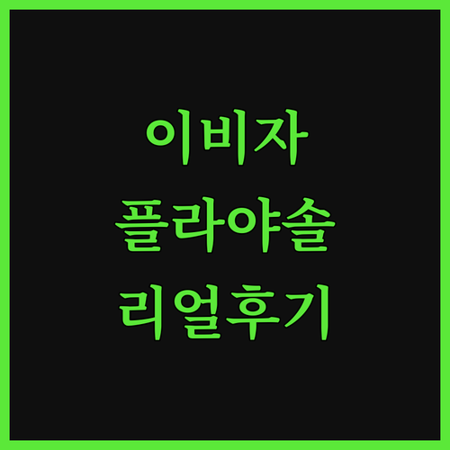 해변 바로 앞 호텔 플라야솔 마리티모