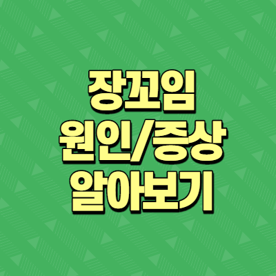  장꼬임 증상 및 원인 알아보기