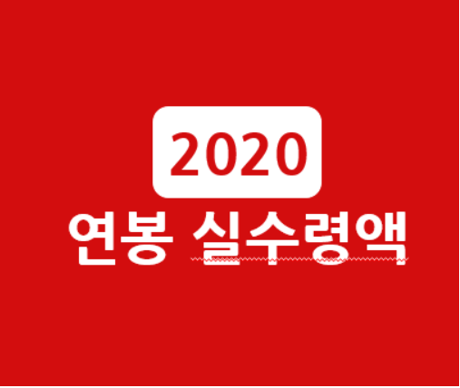  2020년 연봉 실수령액 표