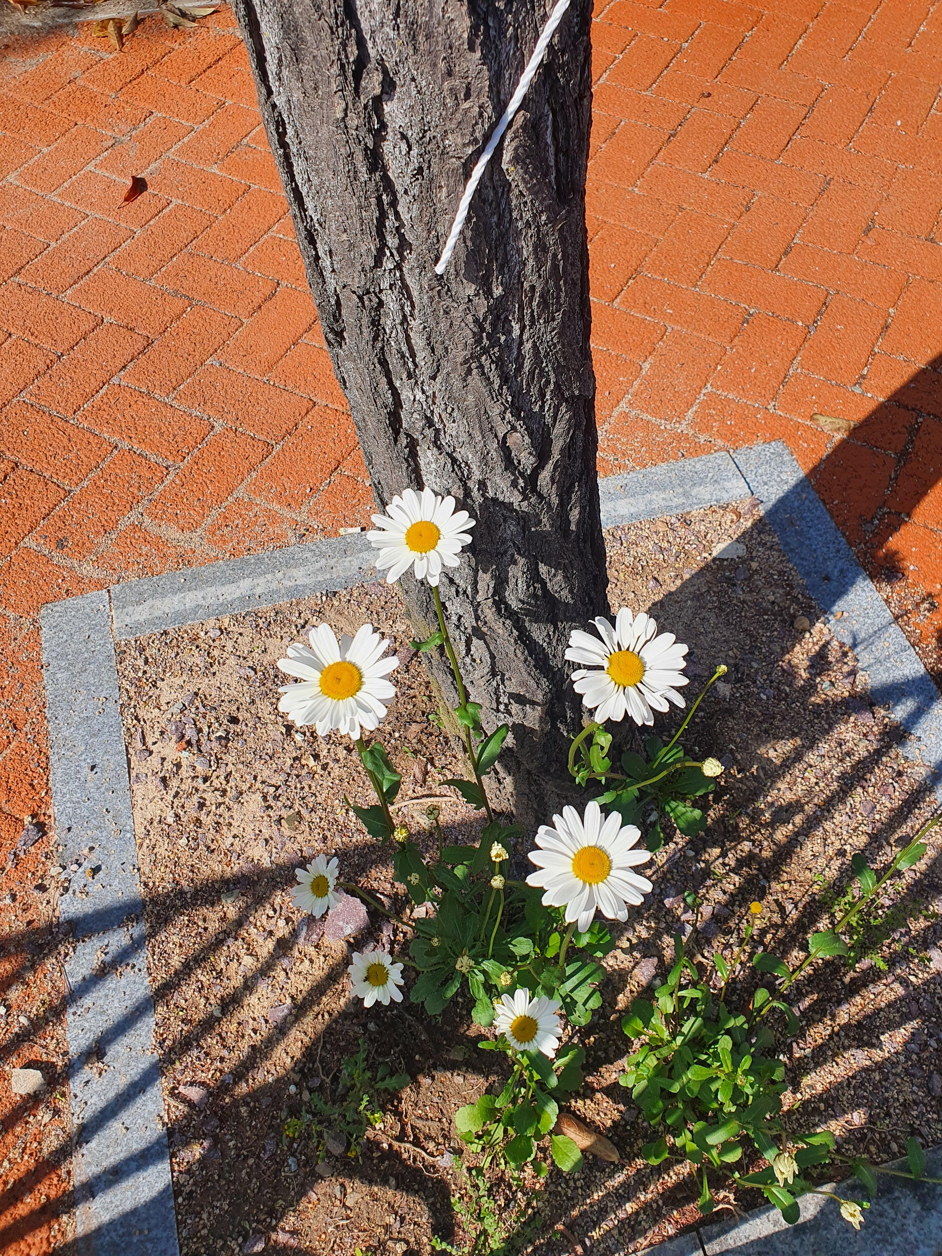  김해 연지공원