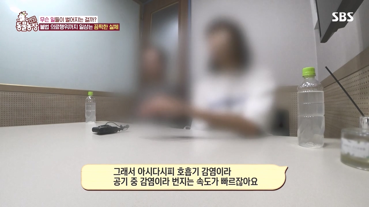 TV 동물농장.E1142.231023p-NEXT.mp4_20231022_172435.308.jpg