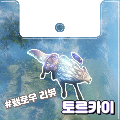  [이카루스] 토르카이 리뷰