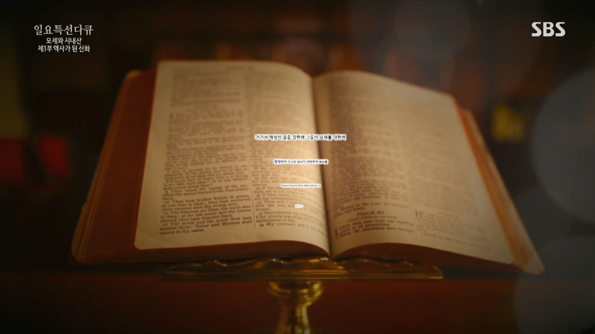 일요 특선 다큐멘터리.E342.240331p.H264-F1RST.mp4_20240406_165312.219.jpg