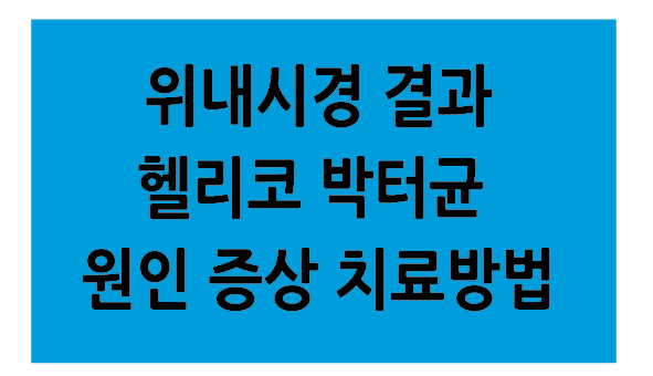 Alt 속성 문제 해결 설명 이미지