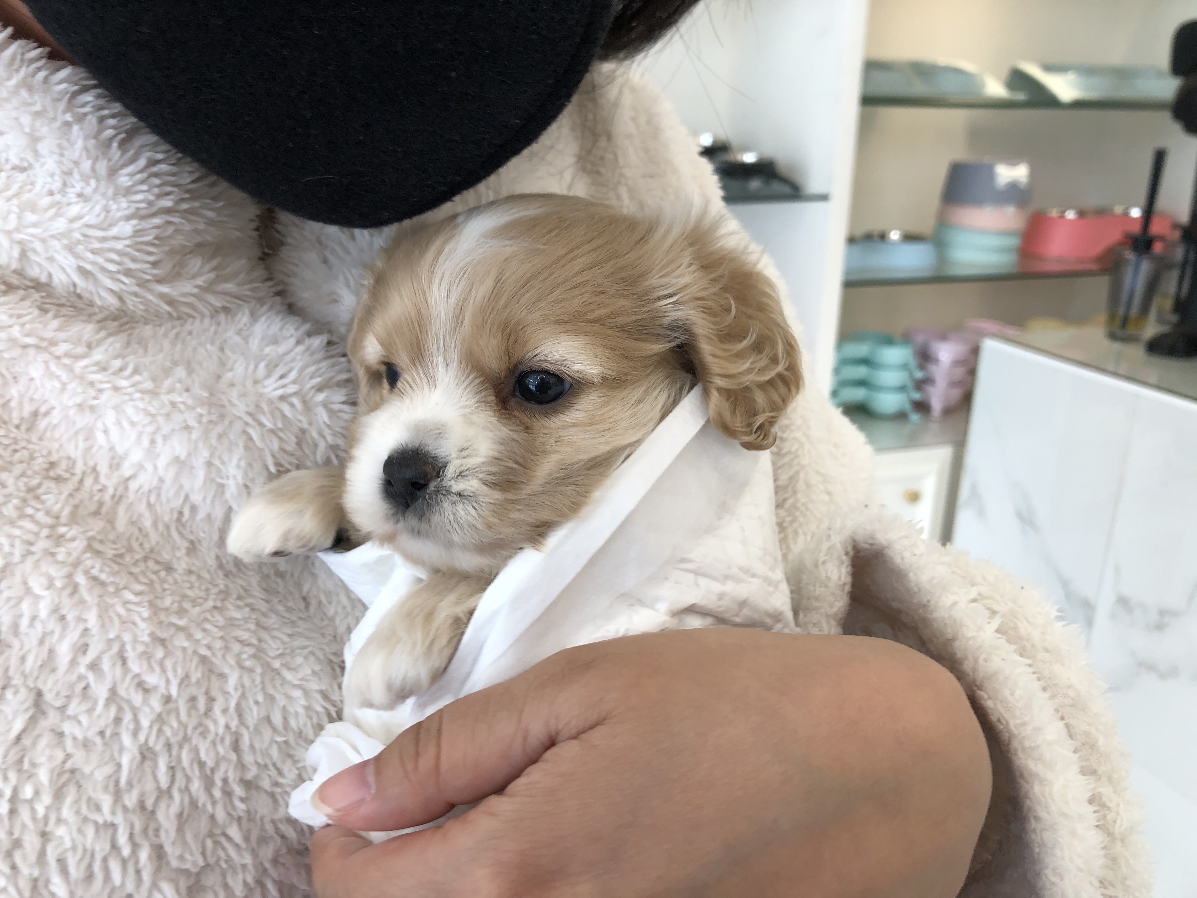  아이가 생겼어요