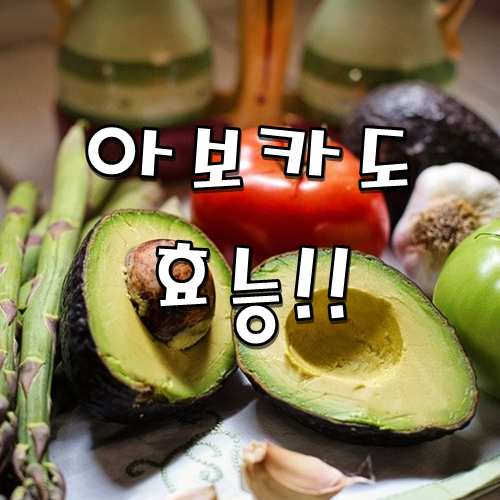  아보카도 효능 알고있나요? 알고먹어야 0칼로리