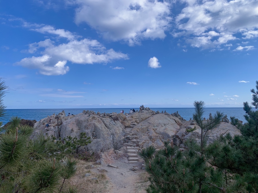 주차 꿀팁 (Hint : 해파랑길 2코스) 부산 여행 필수 코스! 해동용궁사 2