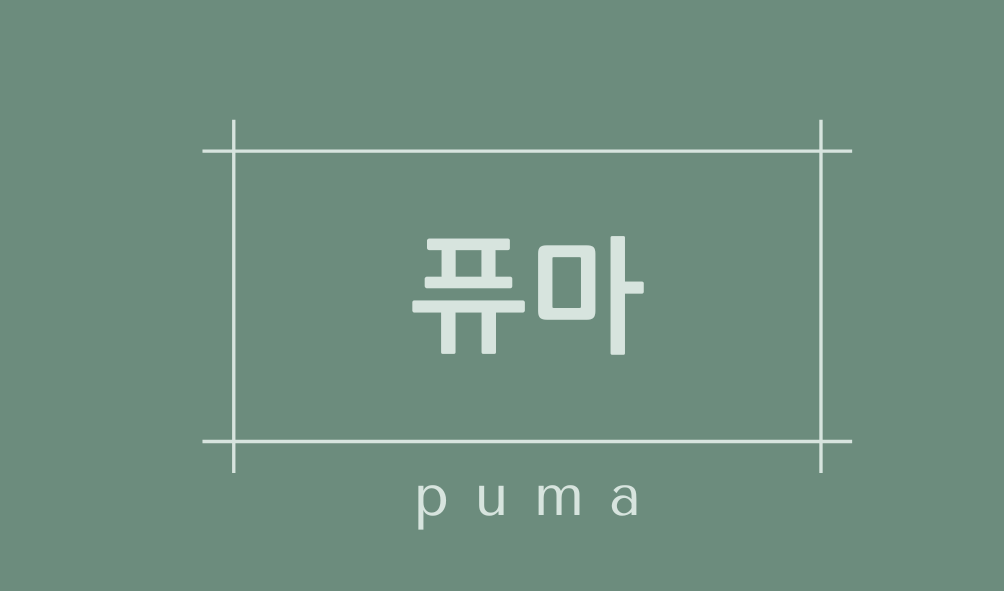 푸마 퓨마(puma)