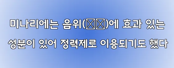  미나리에는 음위(陰痺)에 효과 있는 성분이 있어 정력제로 이용되기도 했다