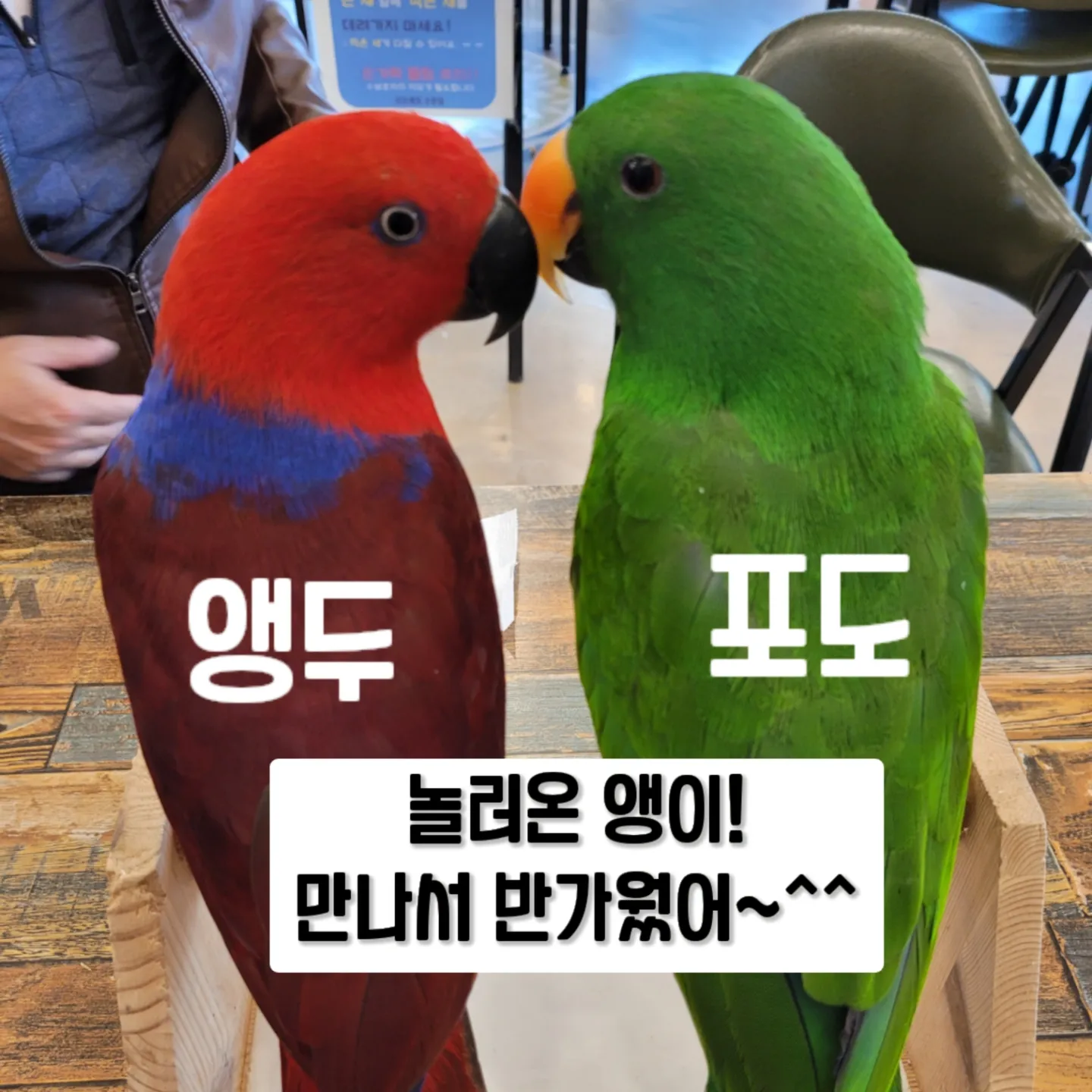 찐소 이미지