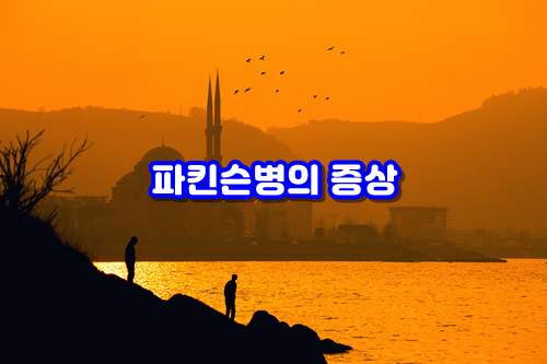  파킨슨병의 증상
