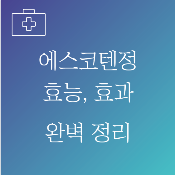 에스코텐정