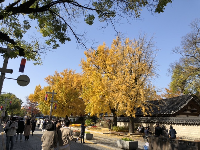 군산엄마들이 2020_엄마 아빠랑 30