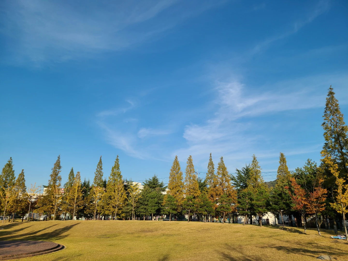 구미 동락공원