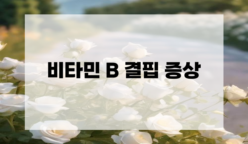 비타민 B 결핍 증상