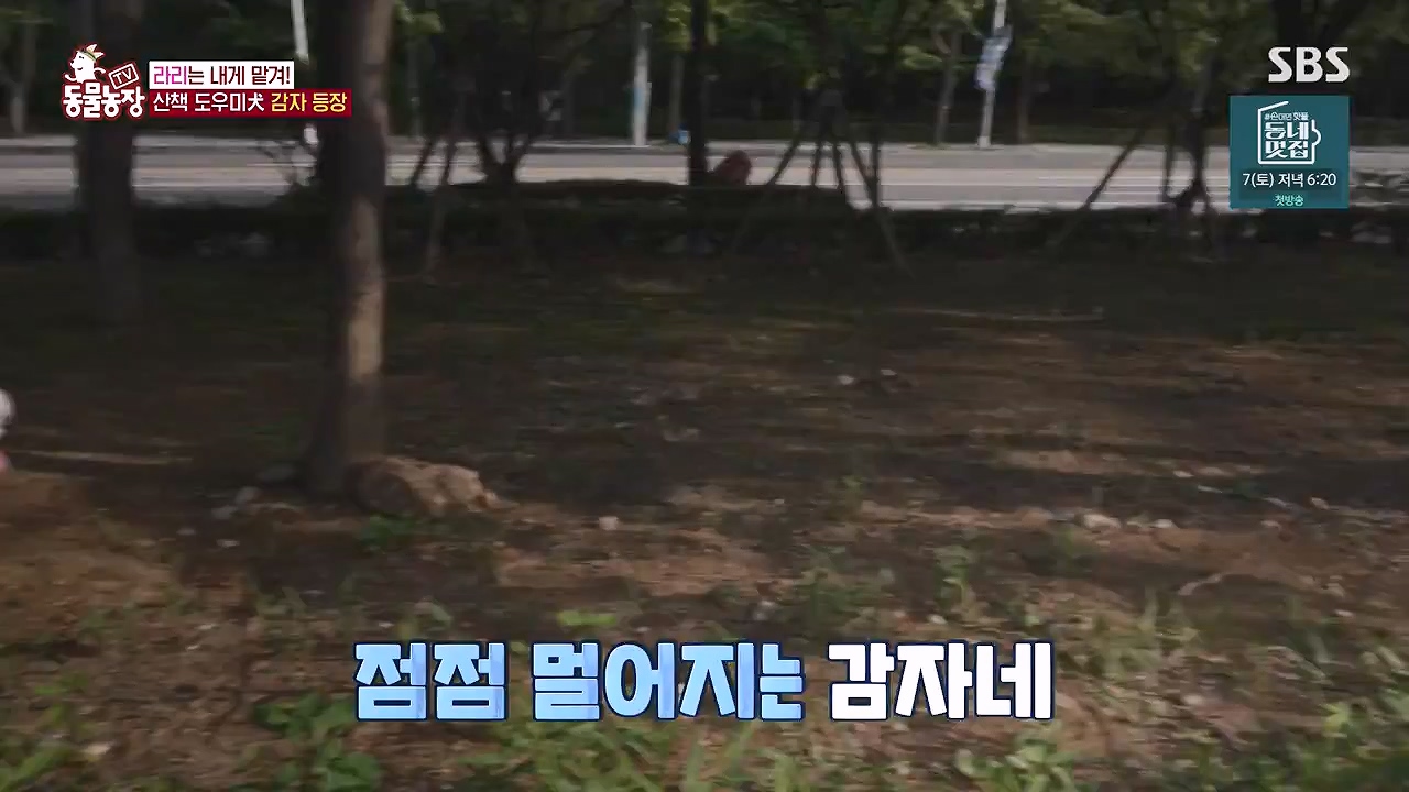 TV 동물농장.E1187.240902p-NEXT.mp4_20240901_155452.508.jpg