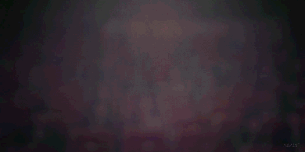 img.gif