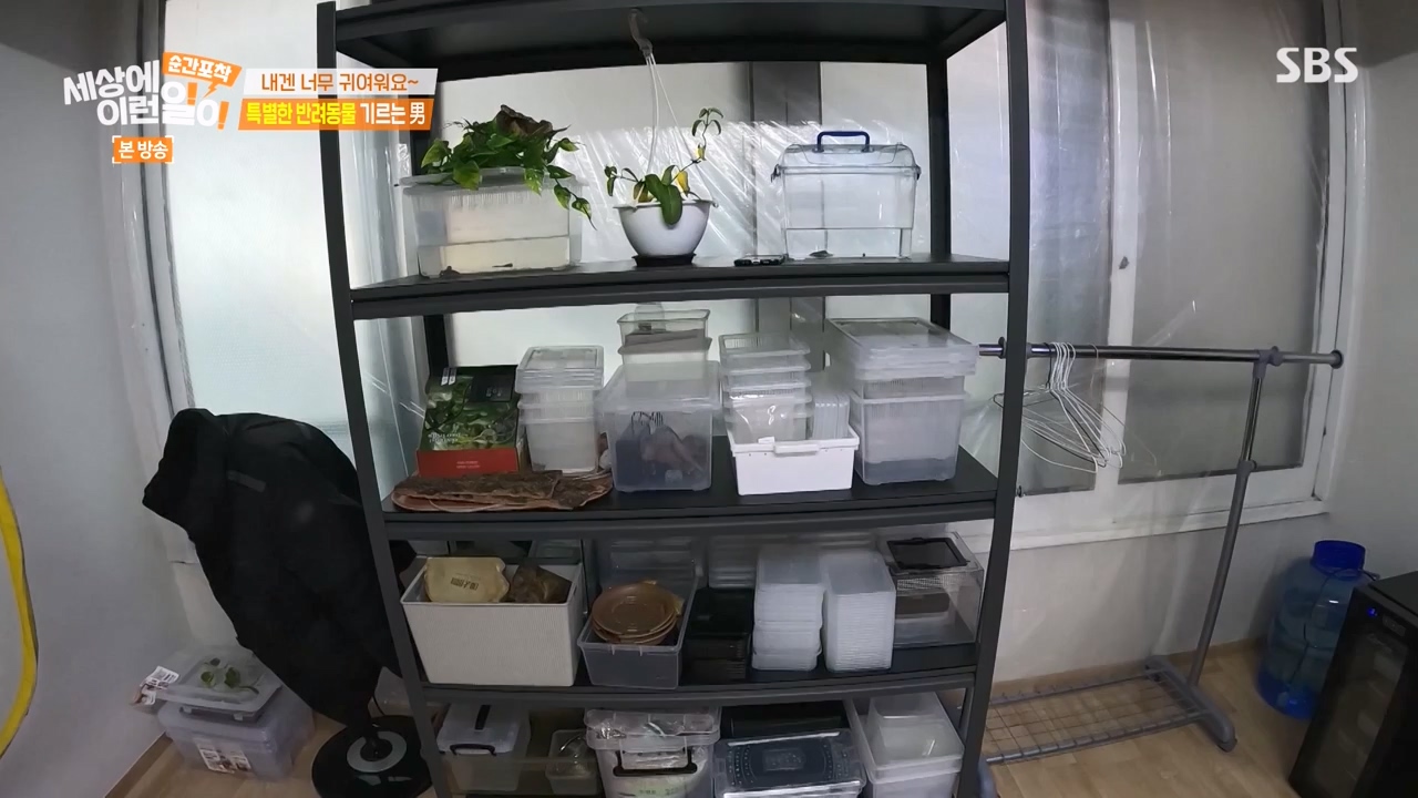 순간포착 세상에 이런일이.E1269.240317p-NEXT.mp4_20240317_163612.111.jpg