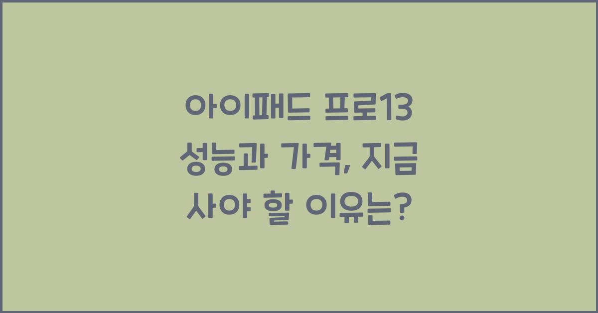 아이패드 프로13